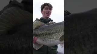 CATCHING a 14 POUND BASS! ( PERSONAL BEST ) #Shorts