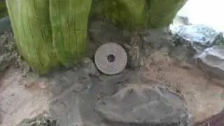 Golden Dime vs Coin with Hole!