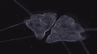 Michael Kruse - Technobrain (Original Mix)
