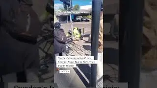 Sweden's Immigration Crisis: Migrant Stops Bus to Pray, Then Fights Worker #publicsafety 
