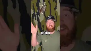 Did Hurricane Helene kill all your deer?! #hunting #deerhunting #bowhunting #whitetail