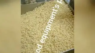 Cheese Ball Making Machine