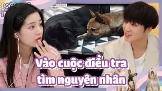 [CCTG Tập 25 #3]ENG/VIETSUB|Từng th&acirc;n nhau tới vậy, sao lại quay ra cắn nhau?|200427 KBS WORLDTV