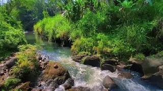 Calming River Sounds &ndash; 10 Hours of Natural ASMR for Focus & Anxiety Calm