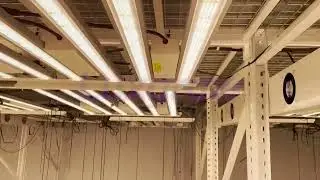 LPU grow led light full spectrum case