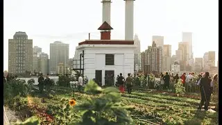 TOAST at Brooklyn Grange | A Rooftop Farm in New York