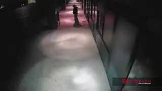 Attempted Storefront Break-in