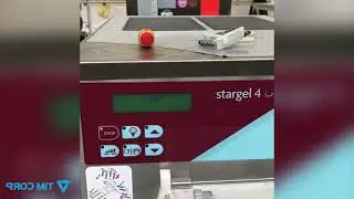 Stargel 4