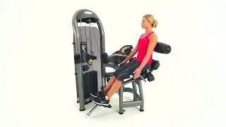 MATRIX Fitness Equipment G3 26 BackExtension E2