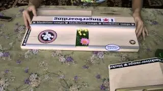 Фигура Backriver Pornstorm Plaza обзор.