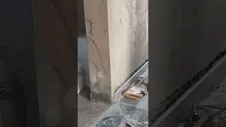 garnight fitting work #shortvideo #trading #funny #love #comedy #nature #house #stone #art #hardwork