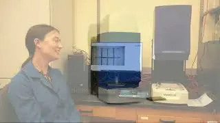 Zebrafish model study :   air pollution as an environmental contributor to Parkinson's disease