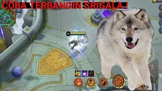 SEBELUM DI FIX !!! BUG IRITEL #1