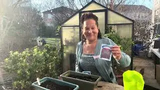 Seeds THAT NEED COOL | Spinach & Lavender #gardening gardening 