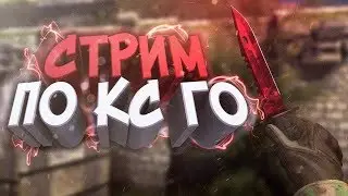 СТРИМ ПО КС ГО ЛОХ ИГРАЕТ