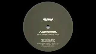 Alenia - Pump It Up