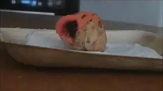 The rise and death of Clathrus ruber