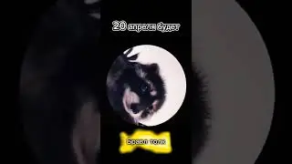 бравл толк#remix#brawlstars #бравлстарс#музыка#rap#brawl #премьера2024#бравл#music#remix#memes#cover