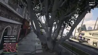 GTA5 Gunrunning