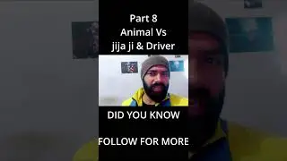 animal pitch meeting script meeting 9