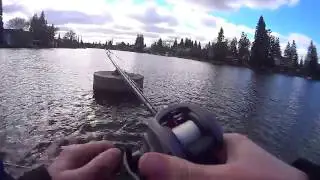 How to earn MONEY from Fishing?