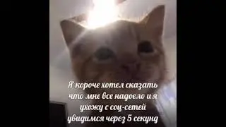 Clean Bandit Solo sped up by werixmeow