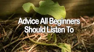Advice I Would Have Loved As A Beginner