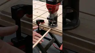 BAUM&Auml;RKTE hassen diesen TRICK! 🤫 | Jonas Winkler #shorts #holz #tippsundtricks