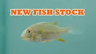 Dange's New Fish Stock | 16.09.2025 | BHARAT 🇮🇳