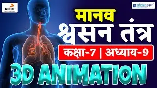 Human Respiratory System 3d Animation | Class 7th Respiratory System 3d Animation | Ekaksha
