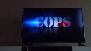 Cops theme song