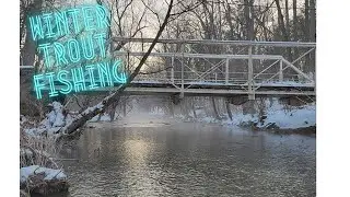 INSANE Winter Wild Brown Trout fishing! (urban creek fishing)