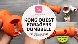 KONG Quest Foragers Dumbbell | Dyrekassen.no
