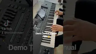 Demo Țambal Korg Pa5x