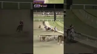 Ambulance On Race Track During Horse Race!