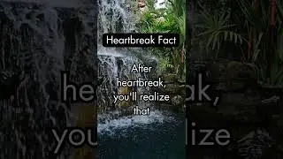 Heartbreak Fact