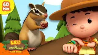 &iexcl;ATRAPA ESA ARDILLA LISTADA! | Habitantes de los &Aacute;rboles | Leo, El Explorador | Animaci&oacute;n Ni&ntilde;os