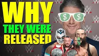 REAL Reasons Why WWE Has Released Wrestlers! Sami Zayn Fan Shouts Homophobic Slur!