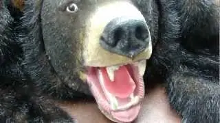 M4H09887.MP4  Bud the Talking Bear  part 3