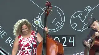 Lluís Gómez Bluegrass Quartet at Bluegrass in La Roche, August 2024