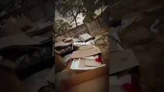 Backyard clear out Service Junk Removal Service, San Antonio, Texas