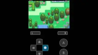 Advance Adventure pt.2