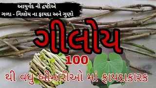 ગીલોય (ગળો) ના ફાયદા | Giloy Benefits #giloy #giloykefayde #giloyjuice #helth #helthtips #viralvideo