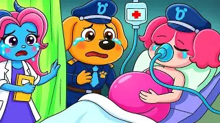 🐾 Papillon Pregnant Again 🤰😮 Poor Labrador 💔 - Sheriff Labrador Police Cartoon