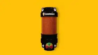 Guardian dessicant breather