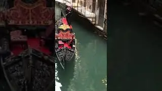 Gondoliere assalito😱da turista ubriaca
