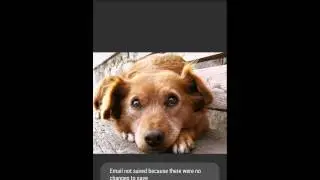 Image search Android app demo