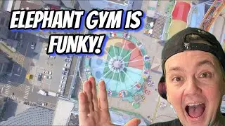 Bass Driven Math Rock?! Elephant - Gym ( Reaction / Review )