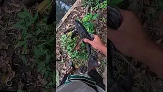 NGERI‼️NEMU IKAN ANEH SAAT MANCING