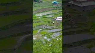 Say MashaAllah 🥀❤️ #youtubeshorts #nature #valley #ajk #travel #fypシ #mountain #beautiful #vlog